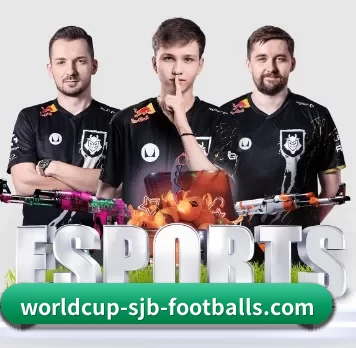 国际化进程